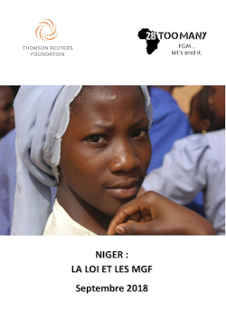 Niger: The Law and FGM (2018, French)